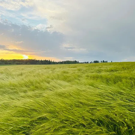 Appartement Kneer - Panoramic View&private Garden Near Black Forest&lake Constance