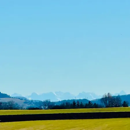 Kneer - Panoramic View & Private Garden Near Black Forest & Constance Apartman