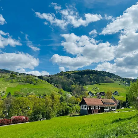 Kneer - Panoramic View & Private Garden Near Black Forest & Constance Apartman