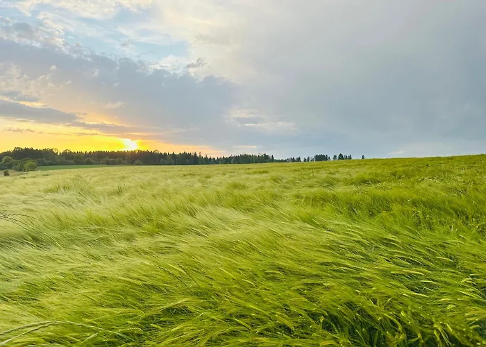 شقة Kneer - Panoramic View & Private Garden Near Black Forest & Constance